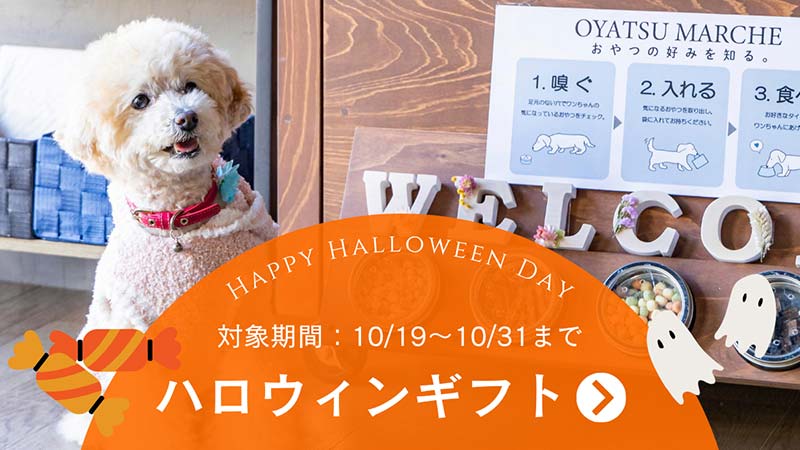 ハロウィンイベント2026