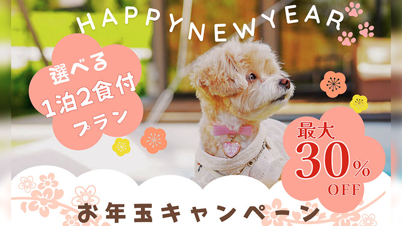 お年玉キャンペーン