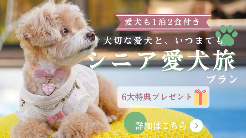 シニア愛犬旅応援