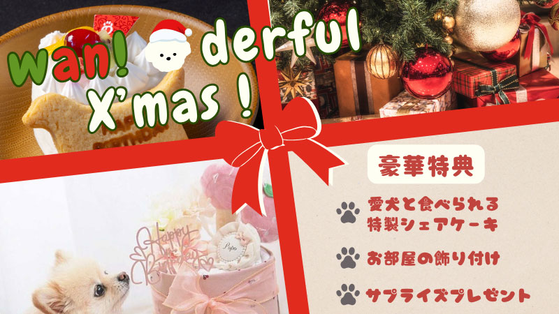 クリスマスプラン