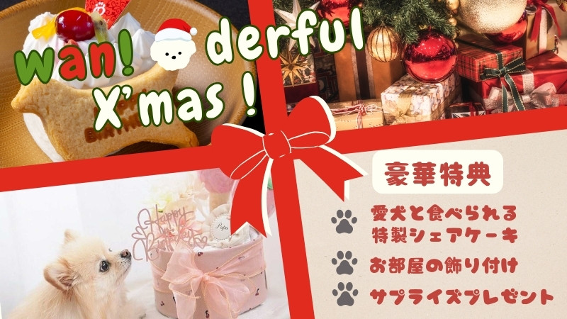 ワンダフルX’masプラン