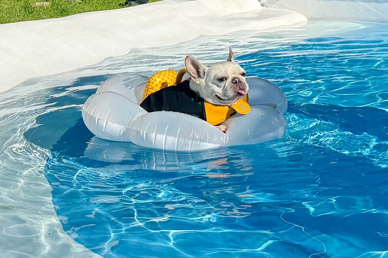 全室プライベートプール付き